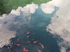 -遂昌金矿国家矿山公园