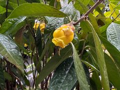 -云溪植物园