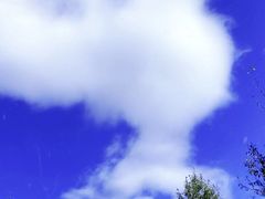 -苏木山森林公园