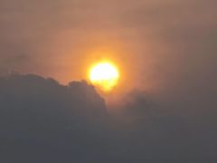 -广州白天鹅宾馆