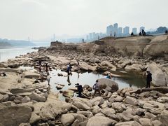 -金海湾滨江公园