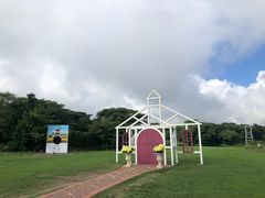 -济州森林小火车生态公园