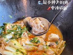 -老刘生态大鱼坊铁锅炖鱼(赛马场店)