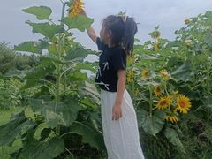 -苏州太湖西山岛开心农场