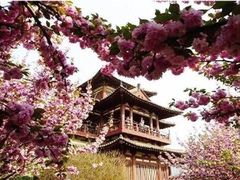 -法门文化景区