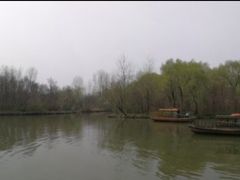 -溱湖国家湿地公园