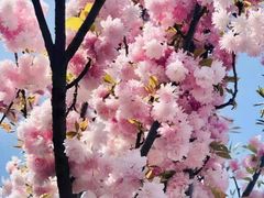 -观澜湖生态运动公社