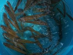 -碓臼峪自然风景区