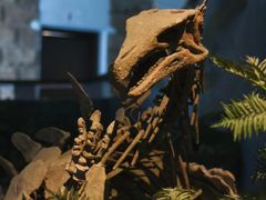 -自贡恐龙博物馆