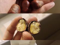 -粒上皇(虎门万达店)