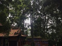 -都江堰普照寺