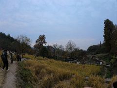-塔川景区