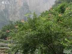 -云台山风景名胜区