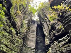 -梭布垭石林景区