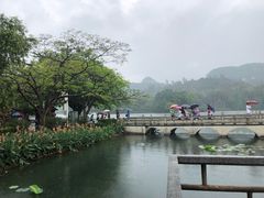 -鼎湖山风景区