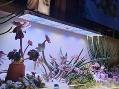 -街角等你.大连海鲜烧烤.经典铁板海鲜串(西安路店)