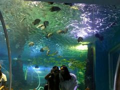 -成都浩海立方海洋公园