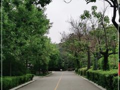 -燕塞湖鸟语林景区