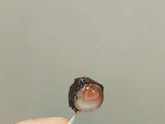 -绝味鸭脖(碧凤坊二店)