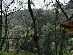 -招虎山国家森林公园-售票处