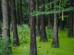 -云龙湖旅游景区