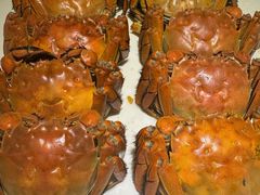 -老平安农家菜(平安店)