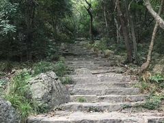 -紫金山山顶公园