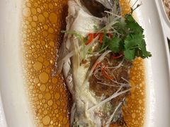 -苏州金鸡湖文博诺富特酒店