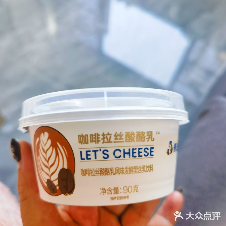 会拉丝的酸乳酪
