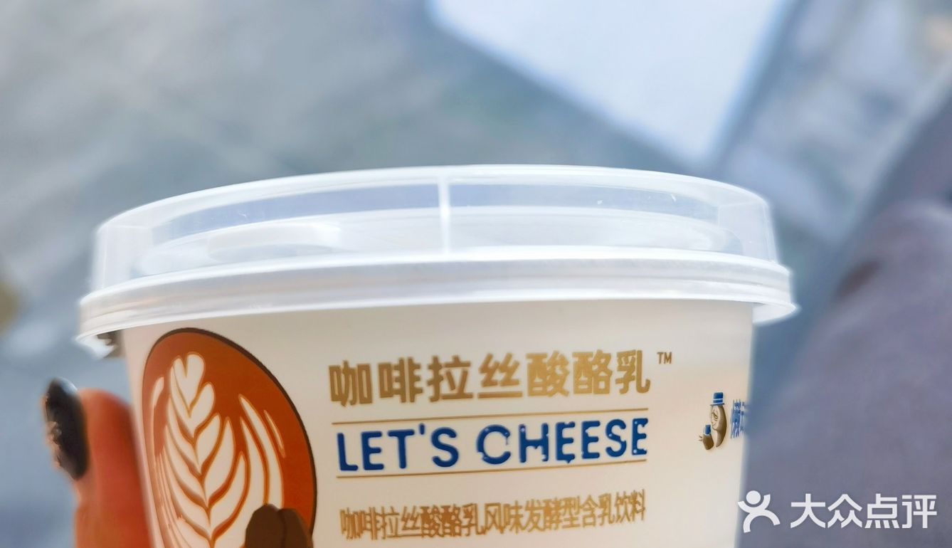 会拉丝的酸乳酪