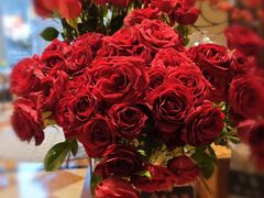 -深圳威尼斯英迪格酒店