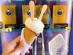 -Dooley's Premium Ice Cream