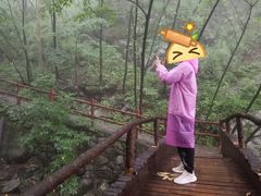 -青峰峡国家森林公园