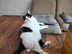-映画咖啡