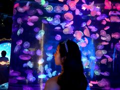 -合肥海洋世界
