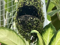 -石家庄市植物园