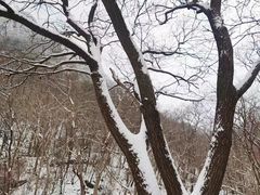 -香山公园