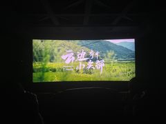 -太平洋影城(王府井店)