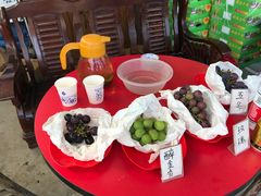 -马陆小张葡萄园农家乐