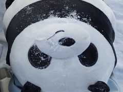 -中旅松花湖滑雪场