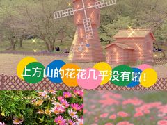 -苏州上方山国家森林公园