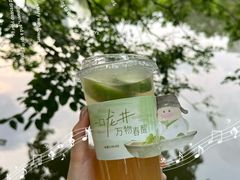 -荔湾湖公园