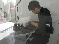 -BABYDOG宝贝狗宠物乐园(欧洲城店)