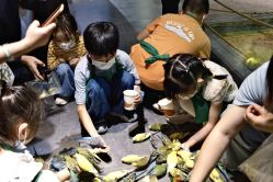 -酷嗒动物文化乐园(cutezoo西溪乐天城店)