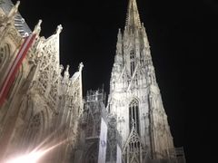 -斯蒂芬主教座堂(Stephansdom)