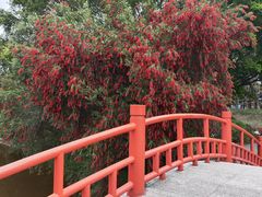 -东莞植物园