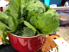 -四季大盘涮肉园(天竺店)