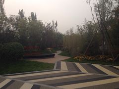 -武清南湖绿博园