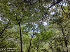 -终南山南五台景区