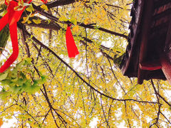 -佛荫寺